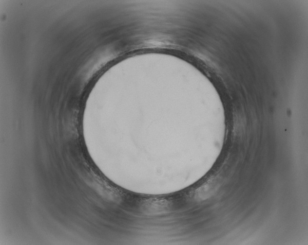 X0000062931314200601131501