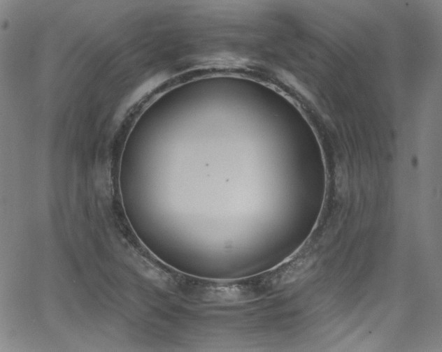 X0000062931315200601131501