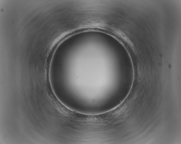 X0000062931316200601131501