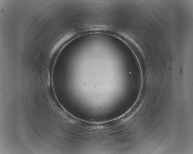 X0000062931317200601131501