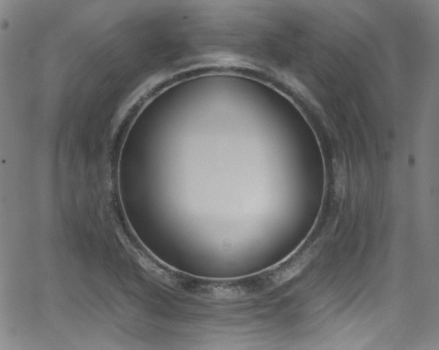 X0000062931318200601131501