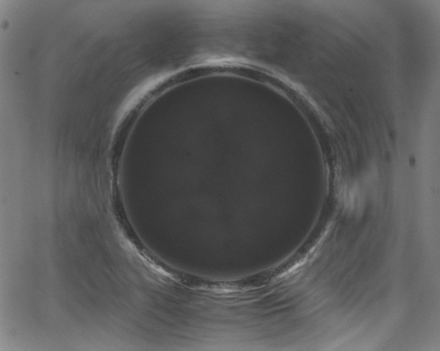 X0000062931319200601131501