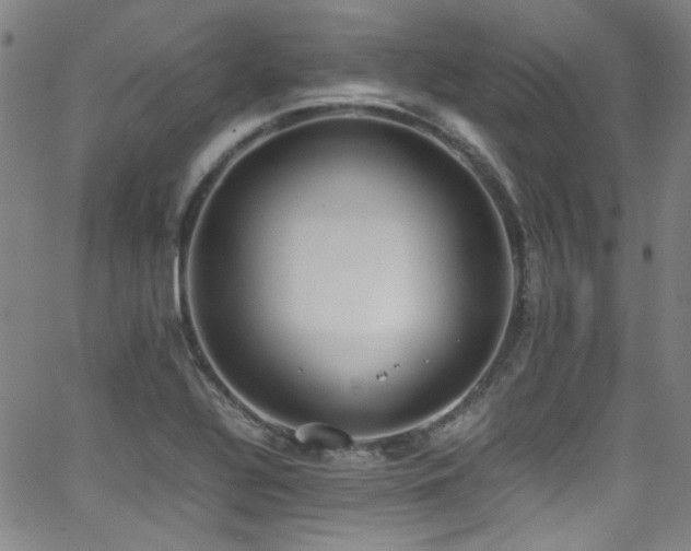 X0000062931320200601131501