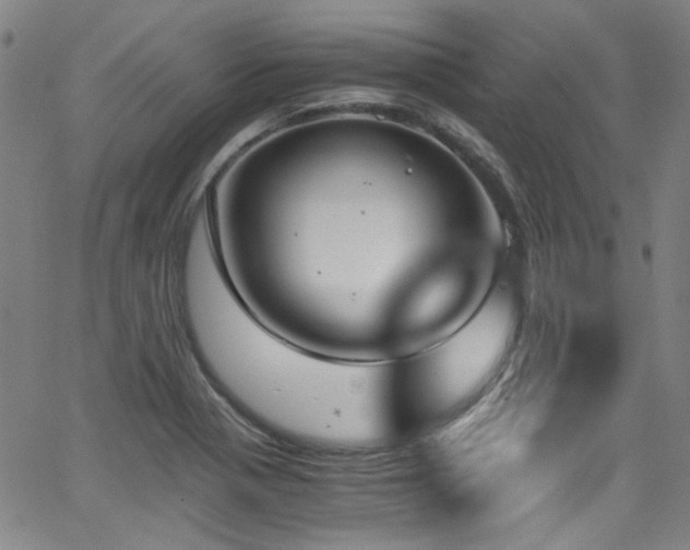 X0000062931321200601131501