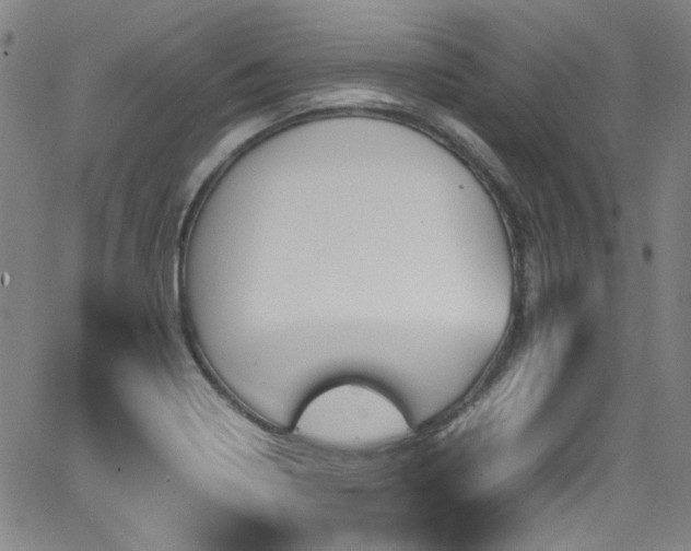 X0000062931322200601131501