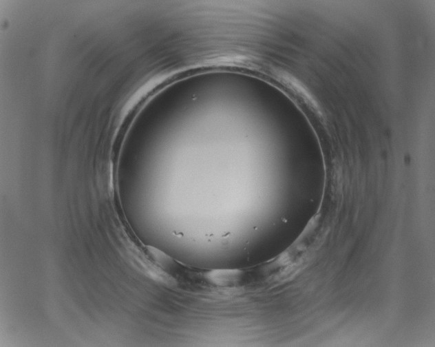 X0000062931324200601131501