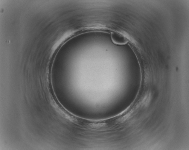 X0000062931325200601131501