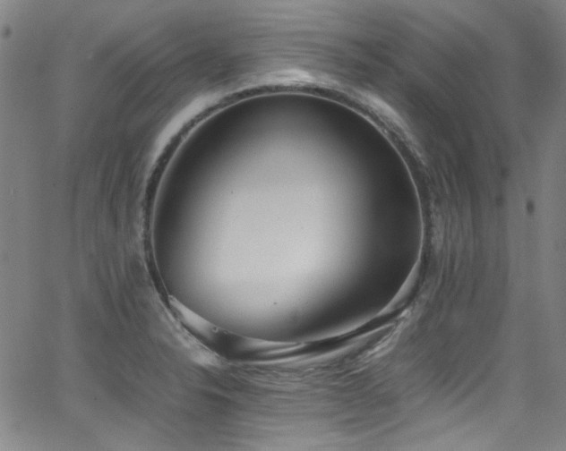 X0000062931326200601131501