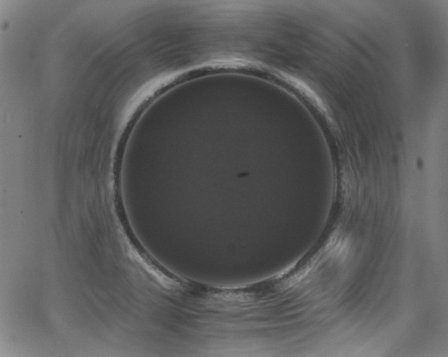 X0000062931327200601131501