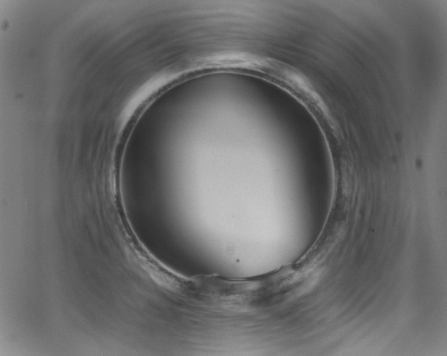 X0000062931328200601131501