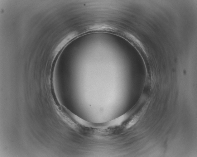 X0000062931330200601131501