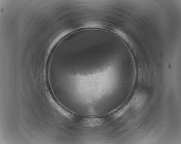 X0000062931331200601131501