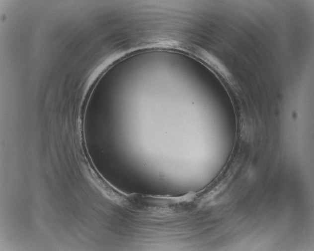 X0000062931332200601131501