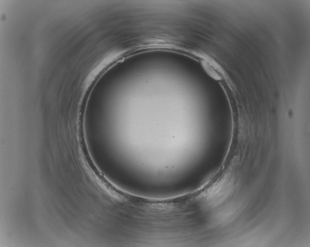 X0000062931333200601131501