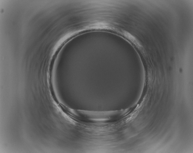 X0000062931334200601131501