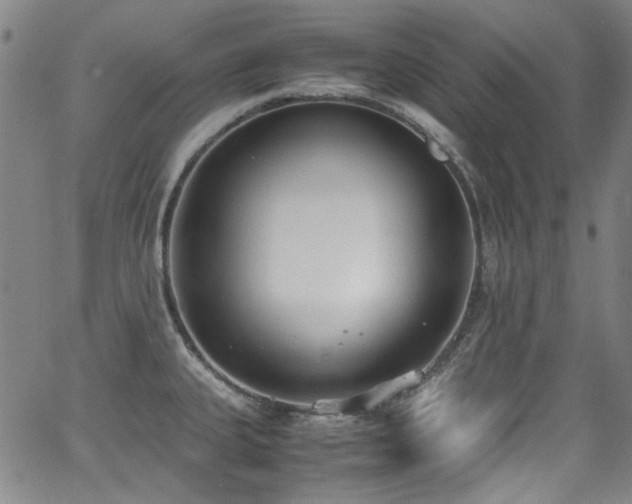 X0000062931335200601131501