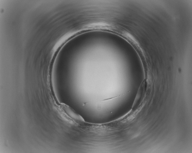 X0000062931336200601131501