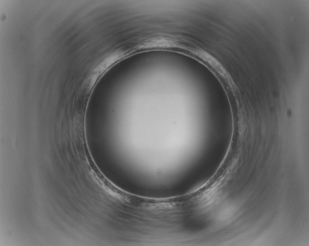 X0000062931337200601131501