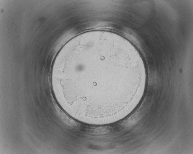 X0000062931338200601131501