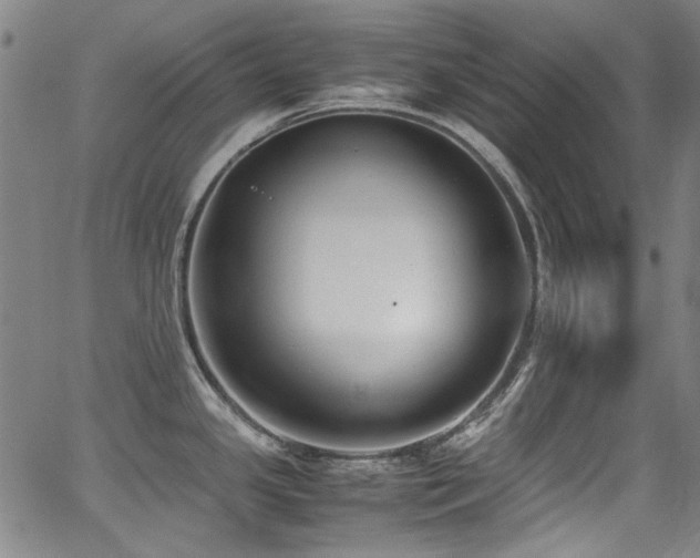 X0000062931341200601131501