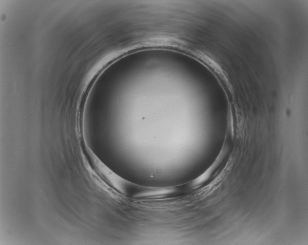 X0000062931342200601131501