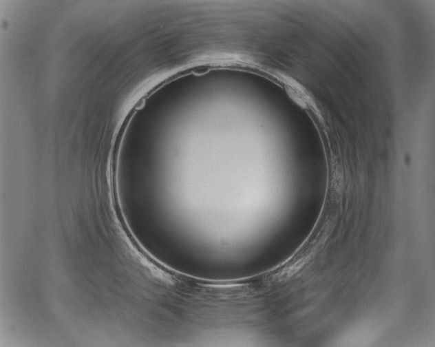 X0000062931343200601131501