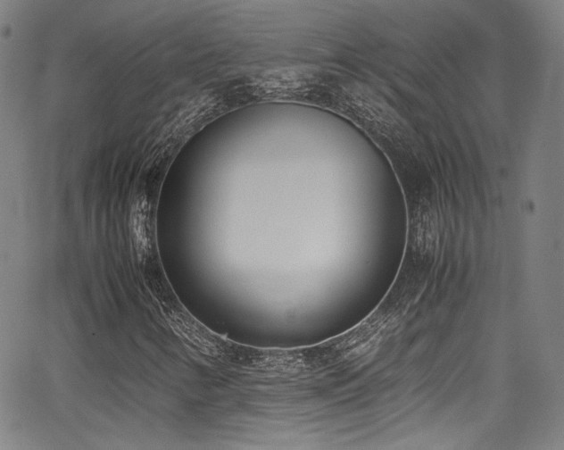 X0000062931346200601131501