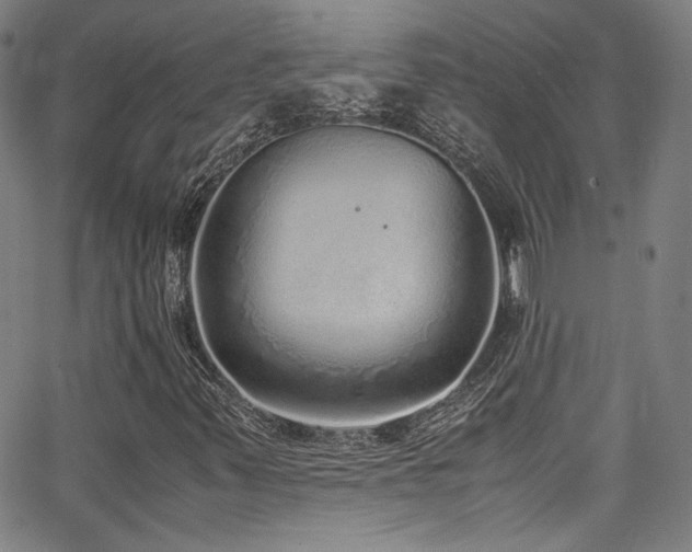 X0000062931347200601131501