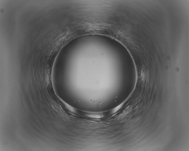 X0000062931348200601131501