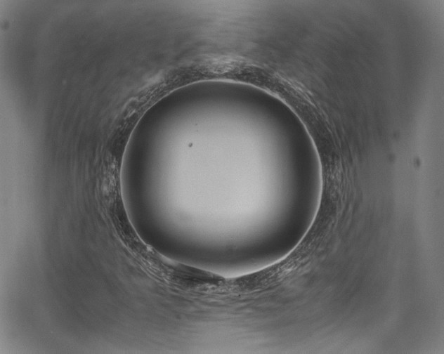 X0000062931349200601131501