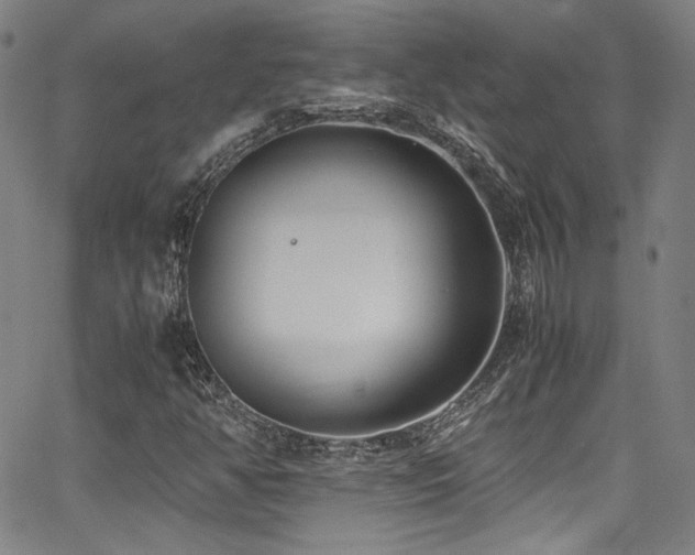 X0000062931350200601131500