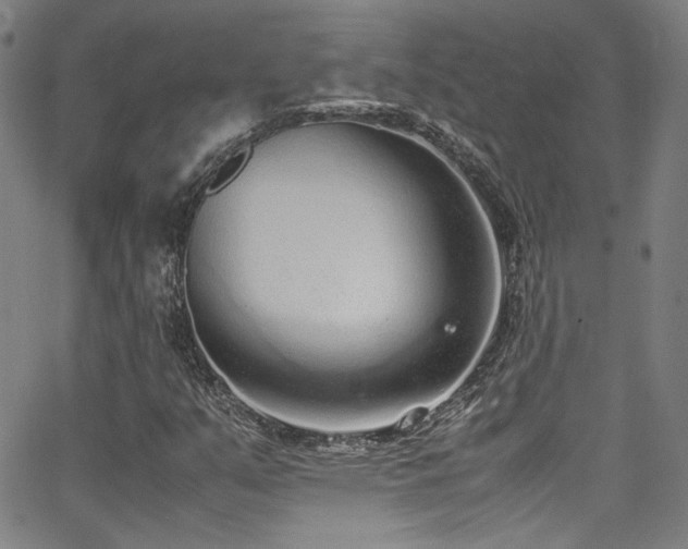 X0000062931351200601131500