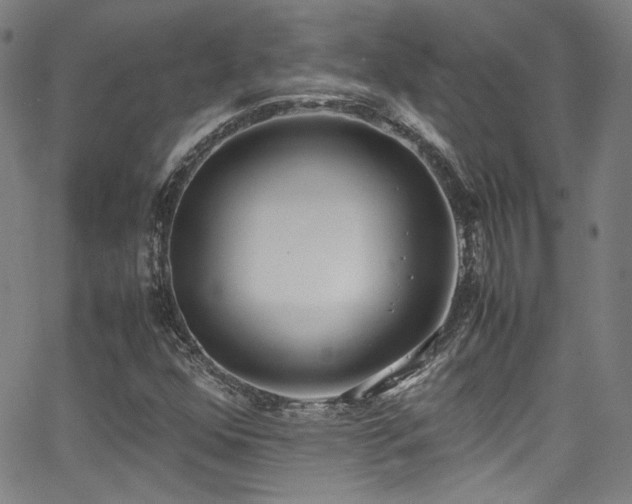 X0000062931352200601131500