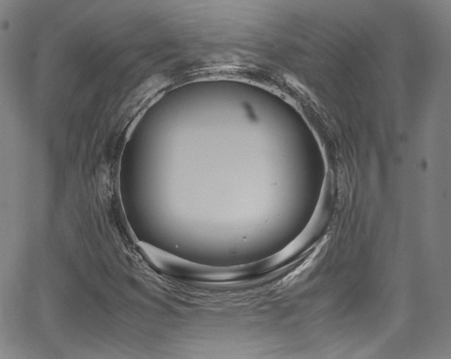 X0000062931353200601131500