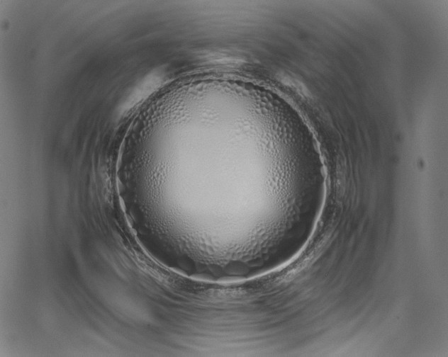 X0000062931354200601131500