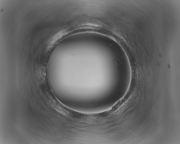 X0000062931355200601131500