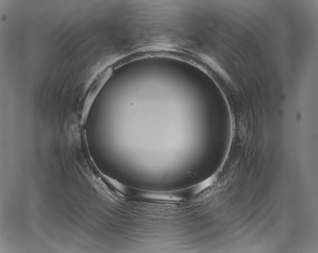 X0000062931356200601131500