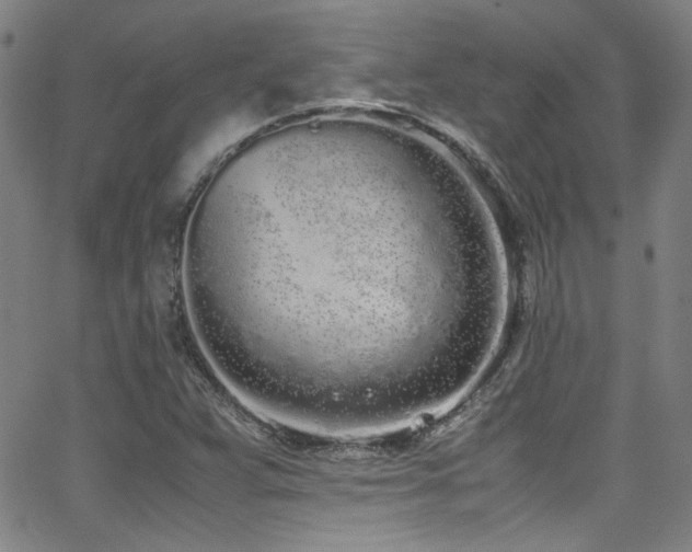 X0000062931359200601131500