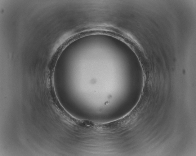 X0000062931360200601131500