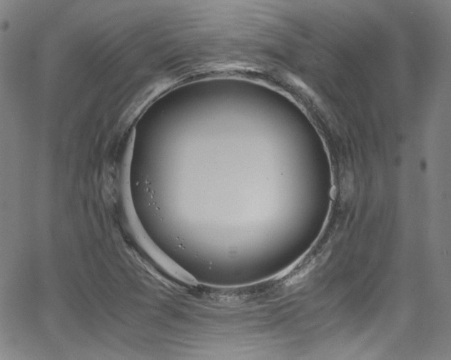 X0000062931361200601131500