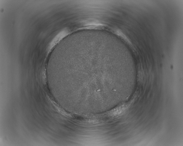 X0000062931362200601131500