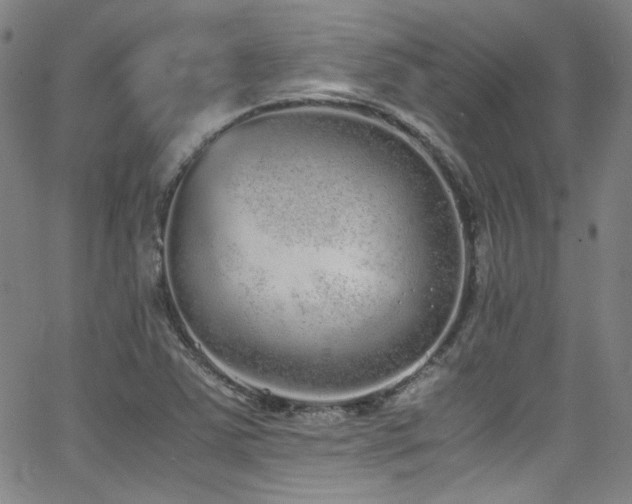 X0000062931363200601131500