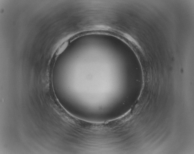 X0000062931364200601131500