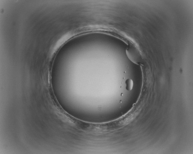 X0000062931365200601131500