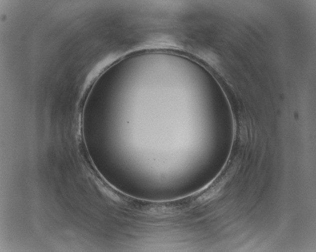 X0000062931366200601131500