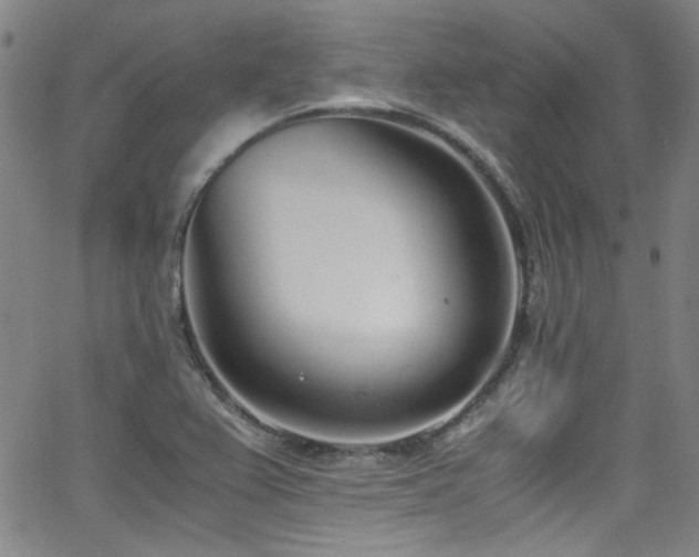 X0000062931367200601131500