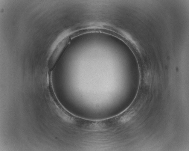 X0000062931368200601131500