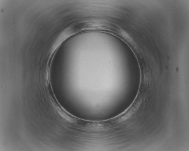 X0000062931370200601131500