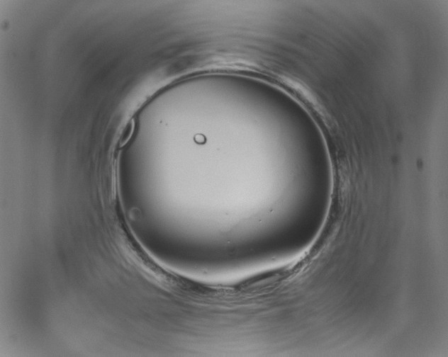 X0000062931371200601131500