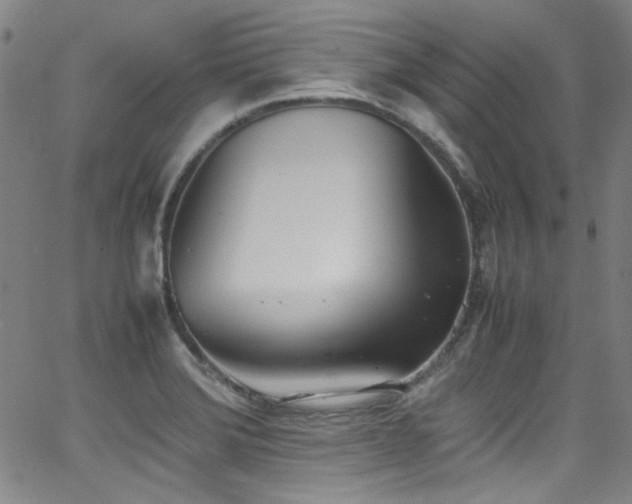 X0000062931372200601131500